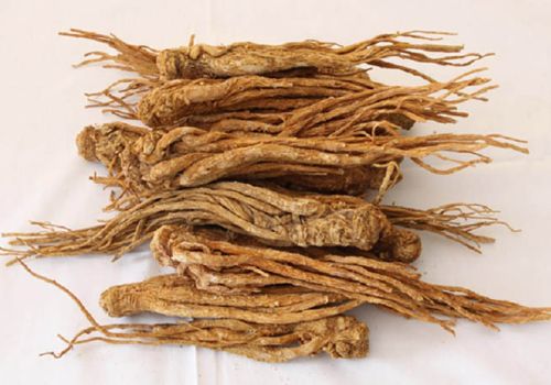 ĐƯƠNG QUY - DƯỢC LIỆU NINH HIỆP